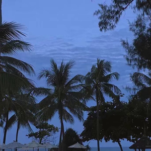 性欧洲老妇毛茸茸
